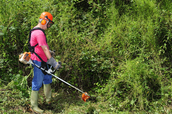 Irrigation and Lighting